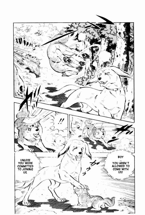 Page 7 Chapter 10 Silver Fang – The Shooting Star Gin –