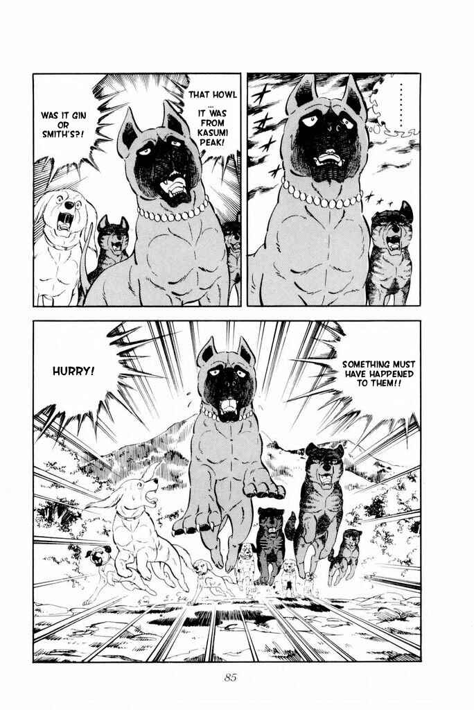 Page 41 Chapter 15 Silver Fang – The Shooting Star Gin –