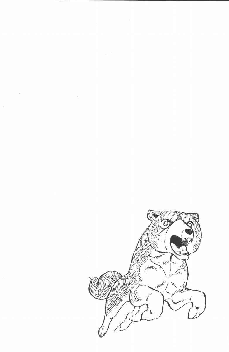 Page 19 Chapter 54 Silver Fang – The Shooting Star Gin –