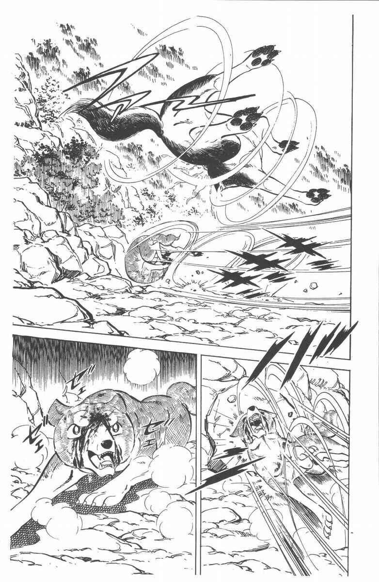 Page 38 Chapter 51 Silver Fang – The Shooting Star Gin –