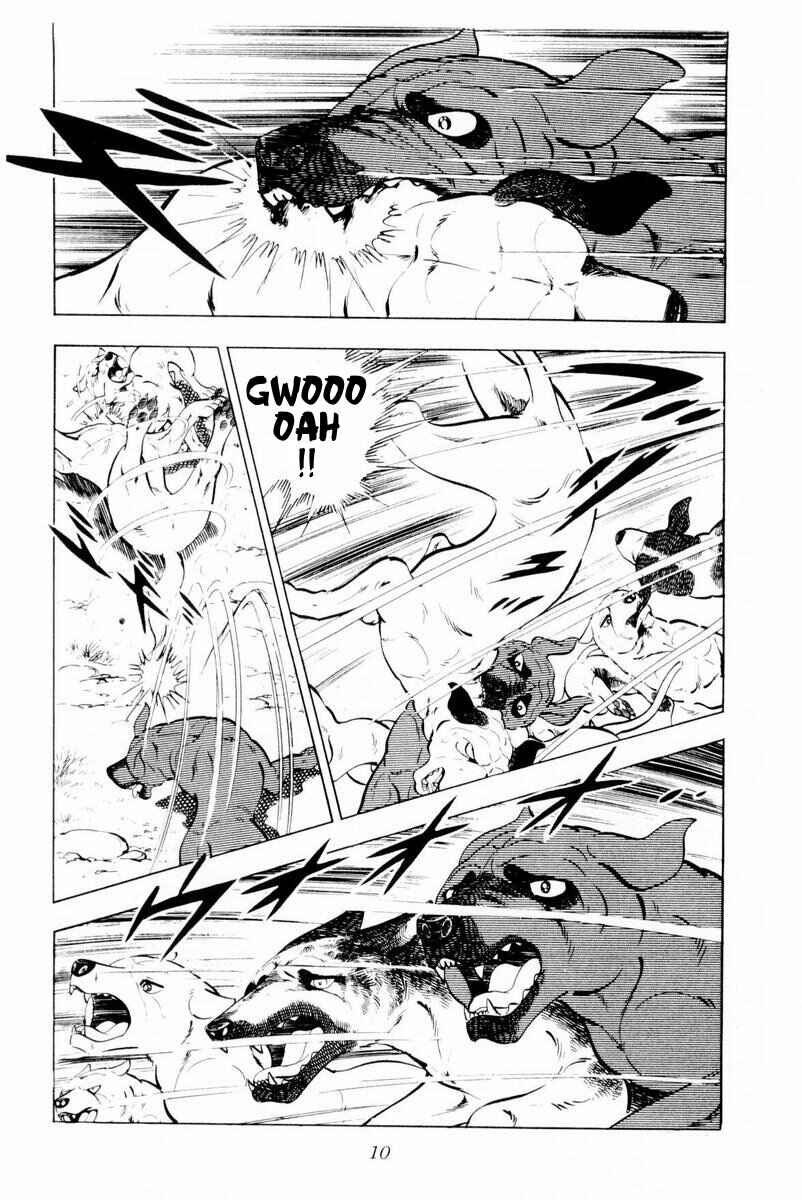 Page 10 Chapter 26 Silver Fang – The Shooting Star Gin –