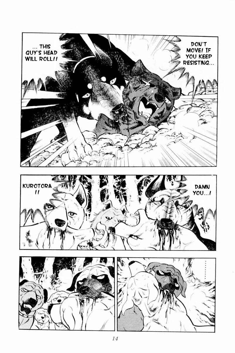 Page 14 Chapter 26 Silver Fang – The Shooting Star Gin –