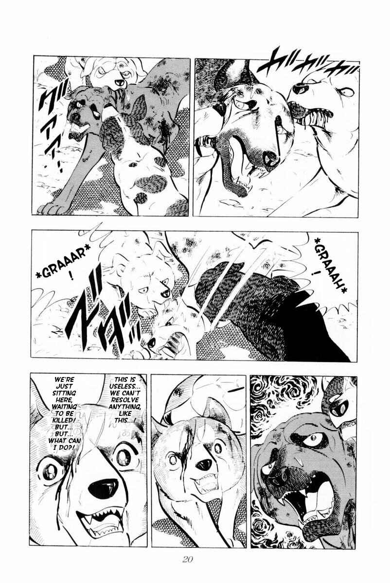 Page 20 Chapter 26 Silver Fang – The Shooting Star Gin –