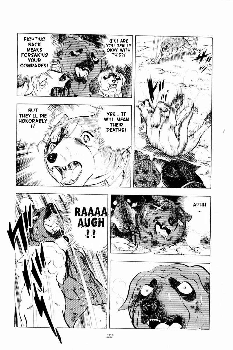 Page 22 Chapter 26 Silver Fang – The Shooting Star Gin –