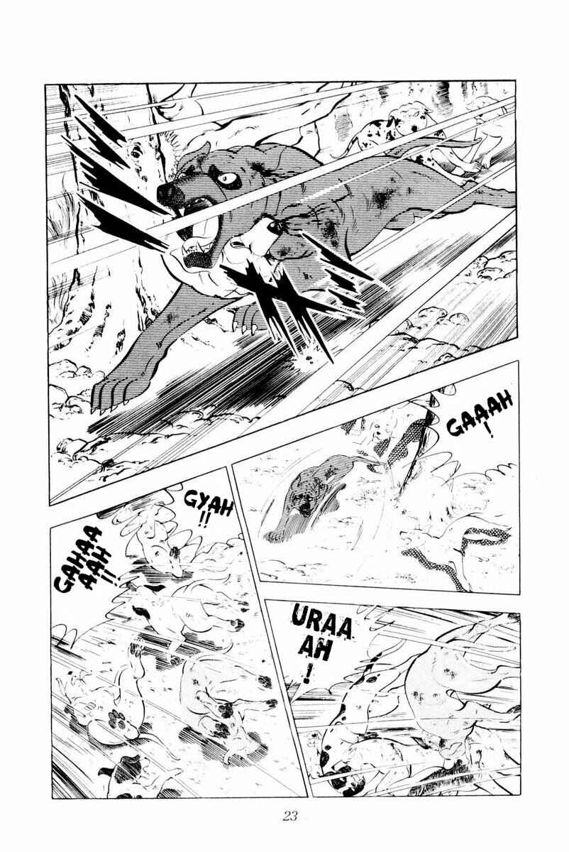 Page 23 Chapter 26 Silver Fang – The Shooting Star Gin –