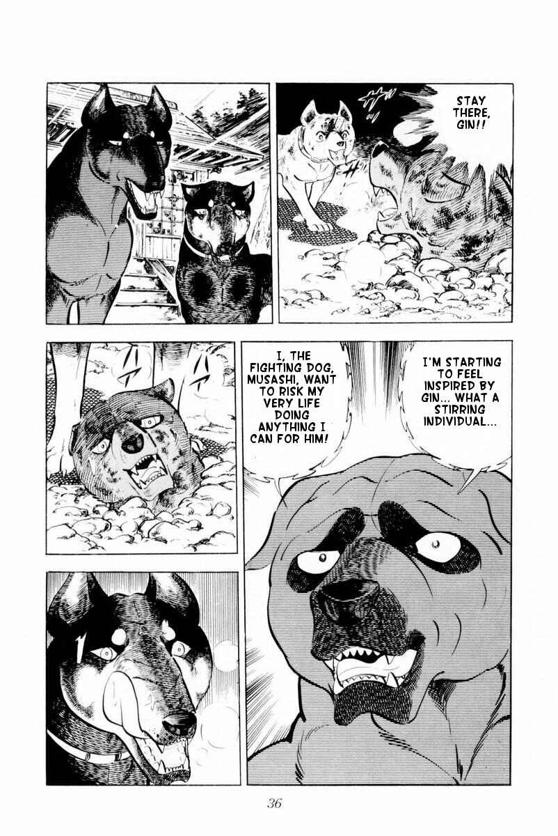 Page 36 Chapter 26 Silver Fang – The Shooting Star Gin –
