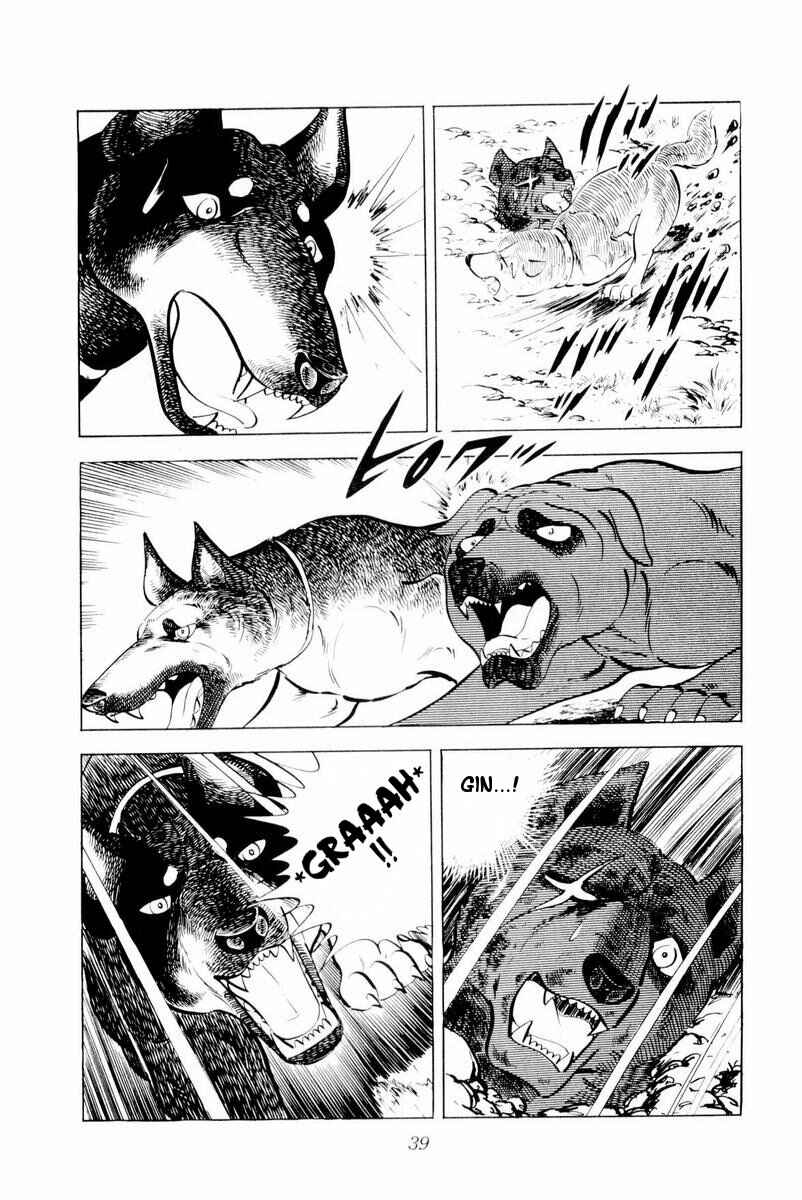 Page 39 Chapter 26 Silver Fang – The Shooting Star Gin –