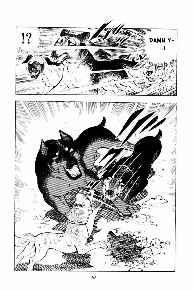 Page 40 Chapter 26 Silver Fang – The Shooting Star Gin –