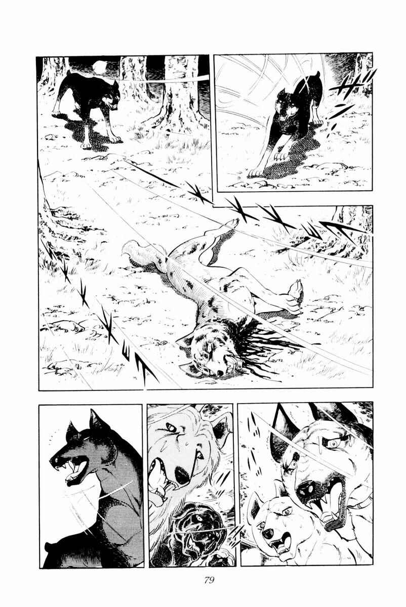 Page 78 Chapter 26 Silver Fang – The Shooting Star Gin –