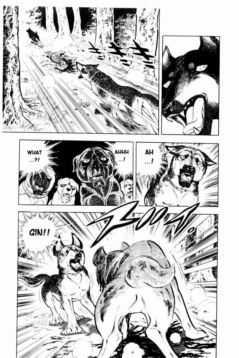 Page 81 Chapter 26 Silver Fang – The Shooting Star Gin –