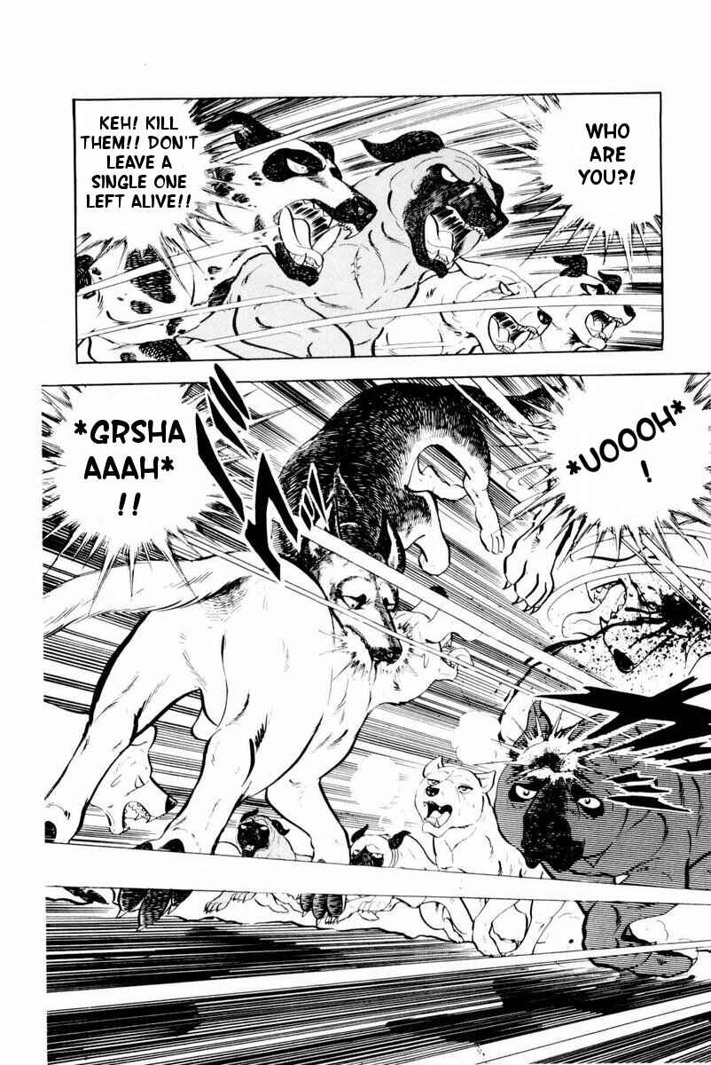 Page 9 Chapter 26 Silver Fang – The Shooting Star Gin –
