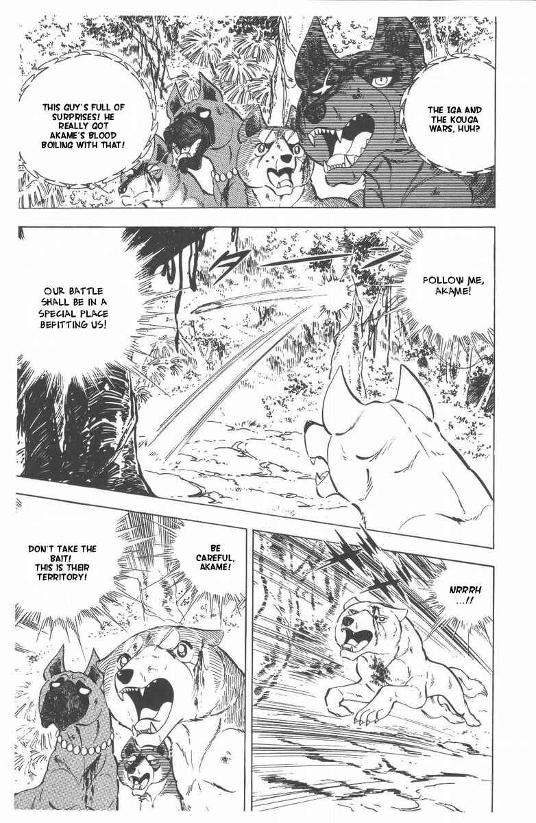 Page 29 Chapter 50 Silver Fang – The Shooting Star Gin –