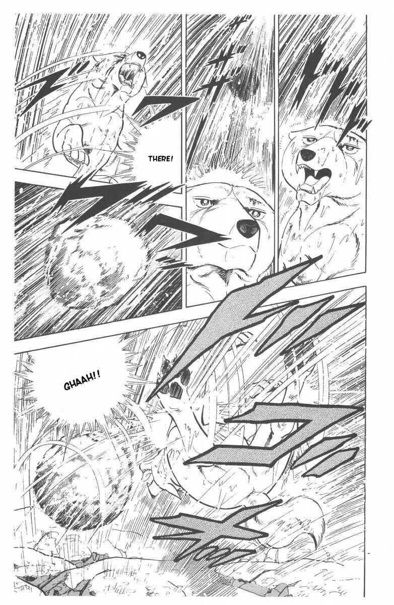 Page 35 Chapter 50 Silver Fang – The Shooting Star Gin –
