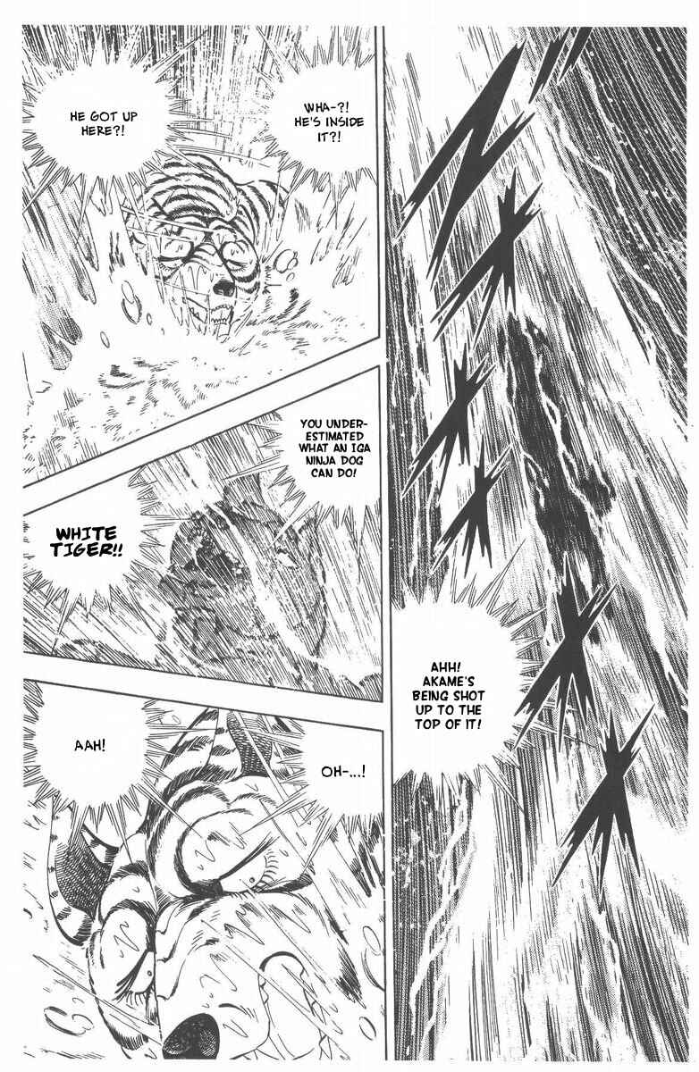 Page 39 Chapter 50 Silver Fang – The Shooting Star Gin –