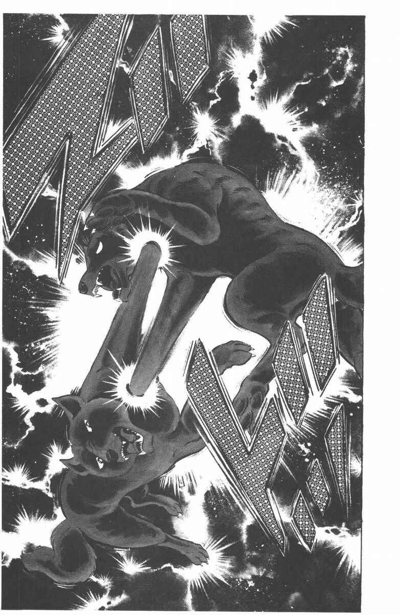 Page 50 Chapter 50 Silver Fang – The Shooting Star Gin –