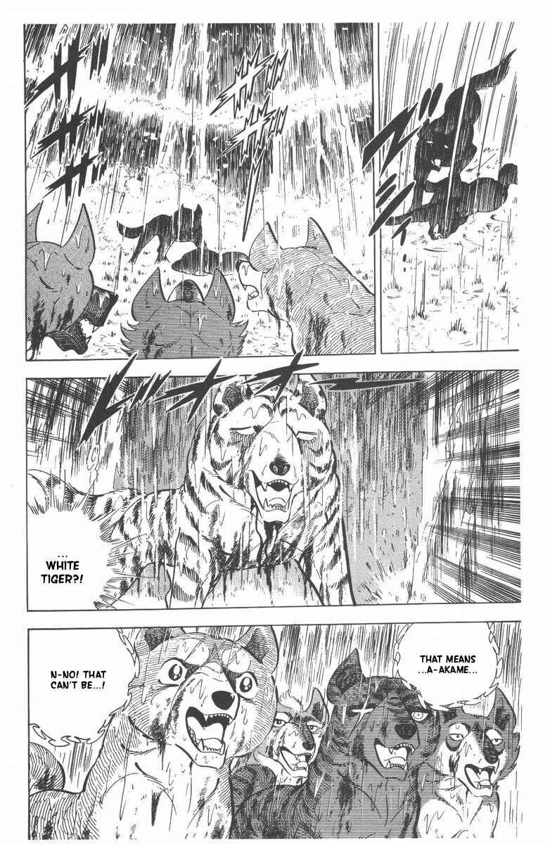 Page 56 Chapter 50 Silver Fang – The Shooting Star Gin –