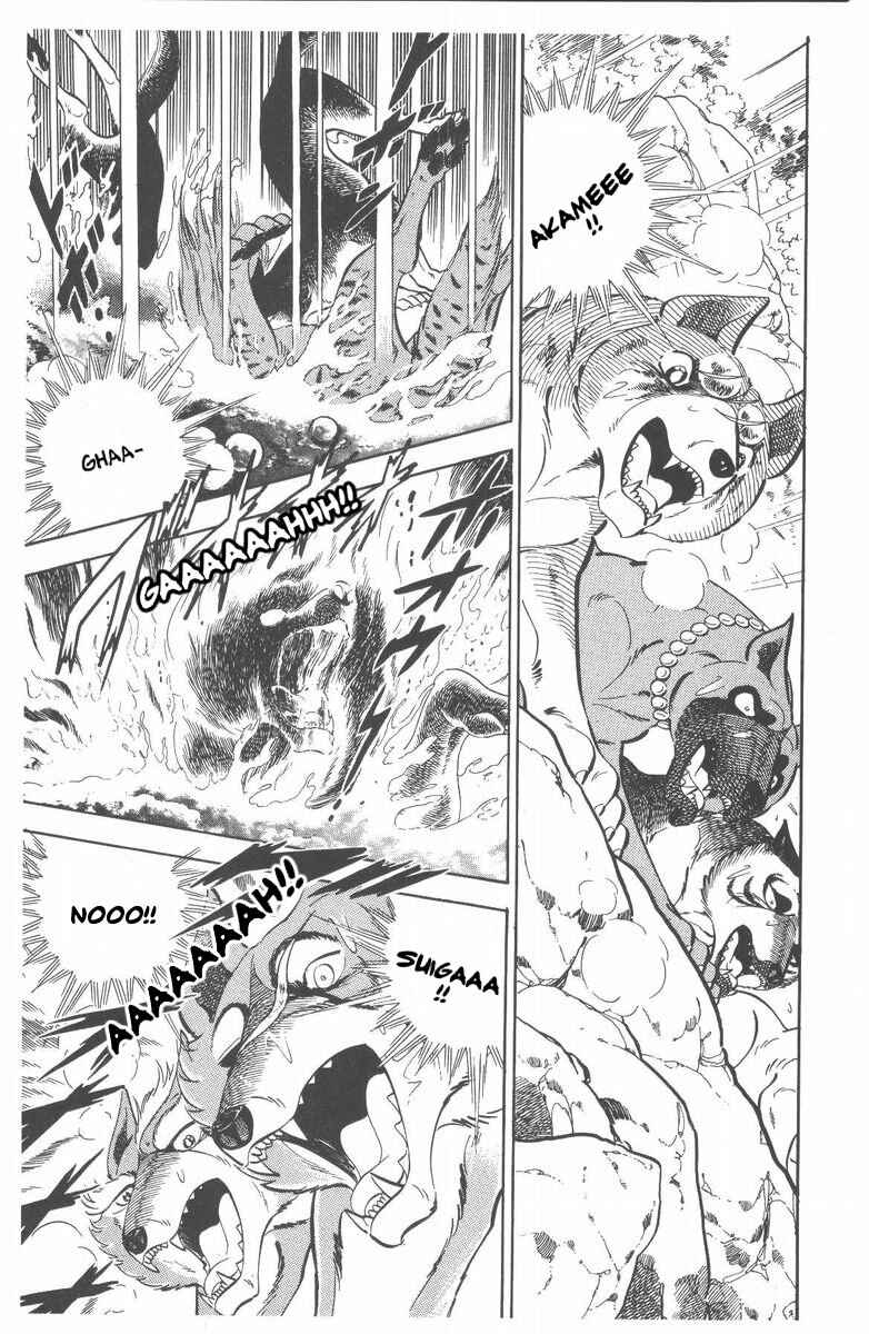 Page 21 Chapter 52 Silver Fang – The Shooting Star Gin –
