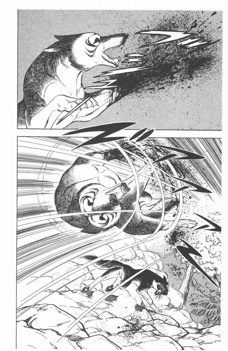 Page 38 Chapter 52 Silver Fang – The Shooting Star Gin –