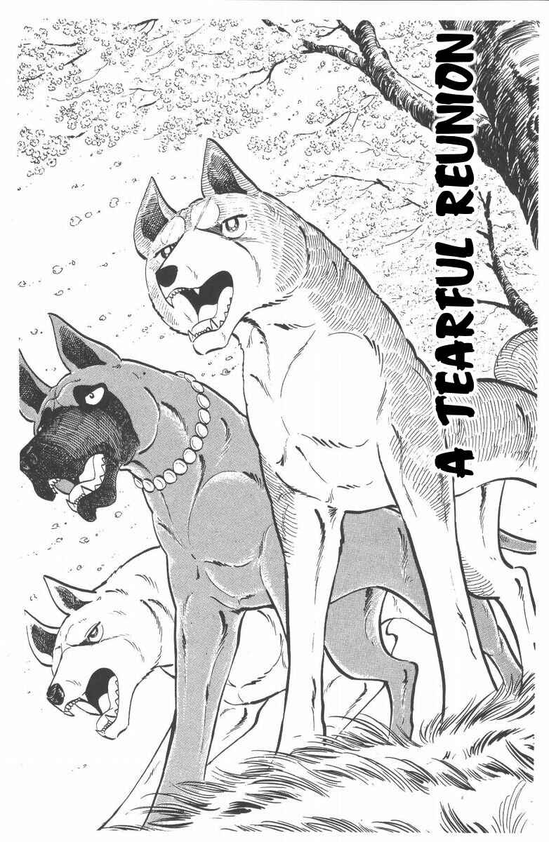 Page 1 Chapter 55 Silver Fang – The Shooting Star Gin –