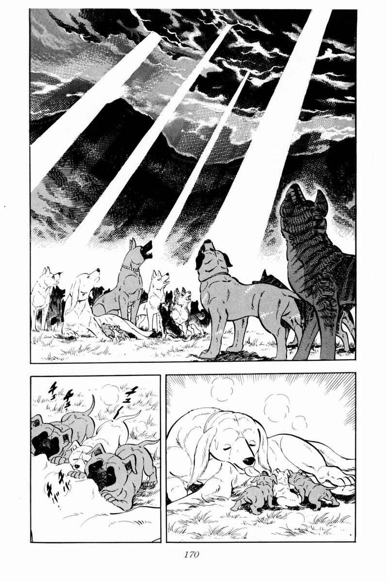 Page 10 Chapter 34 Silver Fang – The Shooting Star Gin –