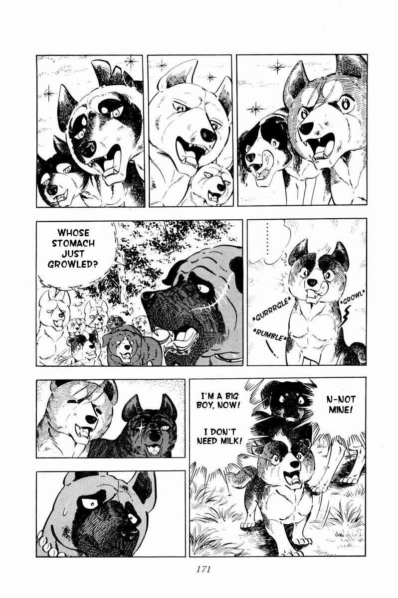Page 11 Chapter 34 Silver Fang – The Shooting Star Gin –