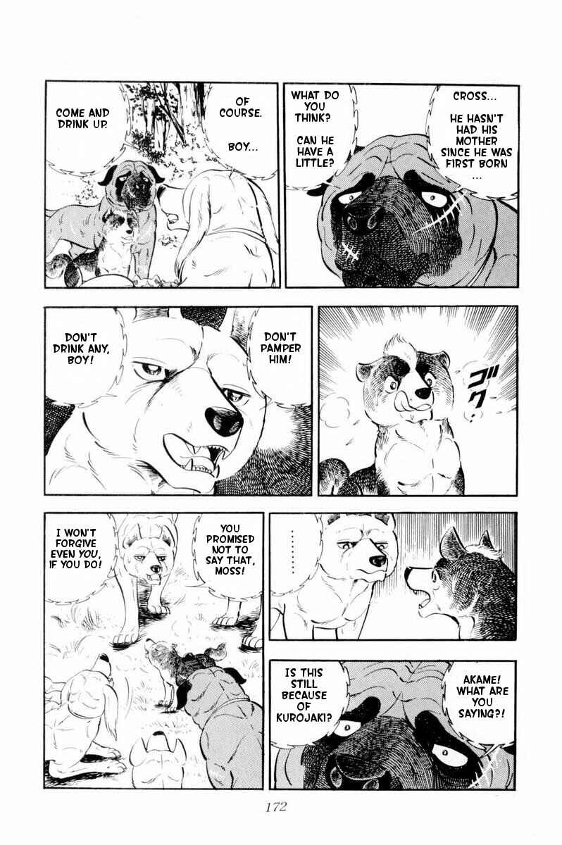 Page 12 Chapter 34 Silver Fang – The Shooting Star Gin –