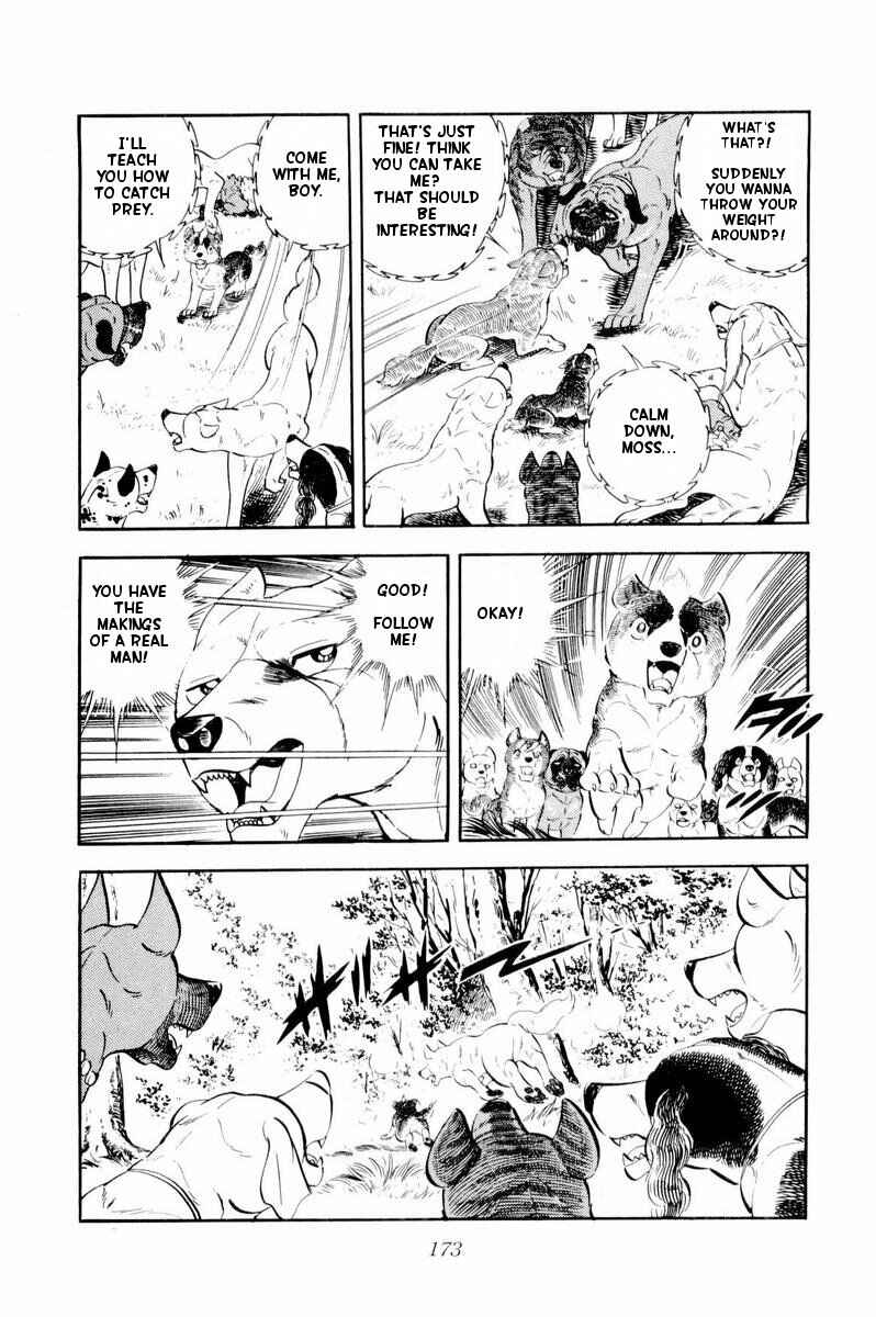 Page 13 Chapter 34 Silver Fang – The Shooting Star Gin –
