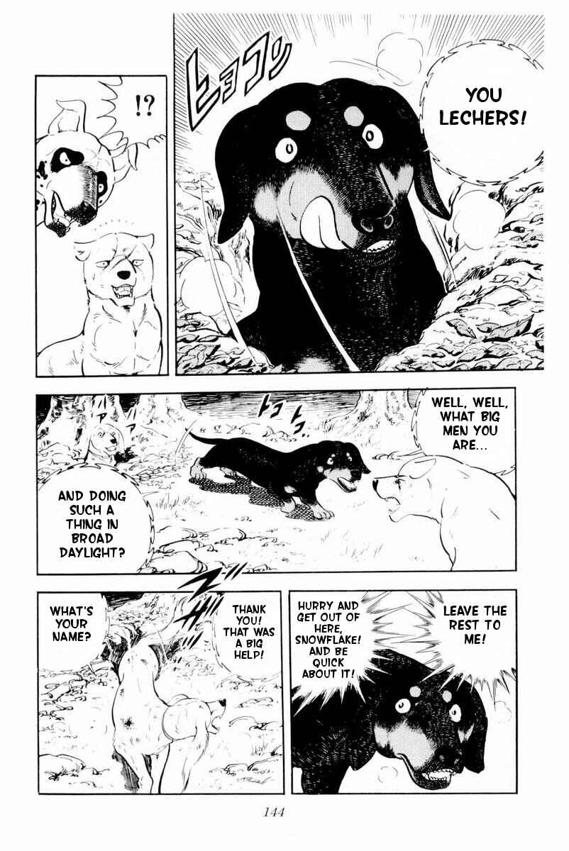 Page 20 Chapter 28 Silver Fang – The Shooting Star Gin –