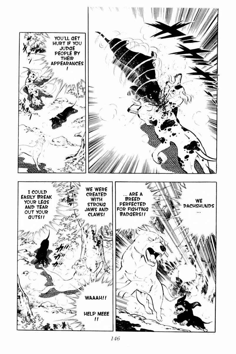 Page 22 Chapter 28 Silver Fang – The Shooting Star Gin –