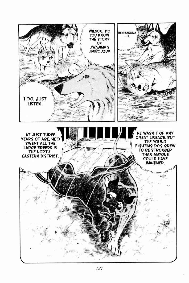 Page 3 Chapter 28 Silver Fang – The Shooting Star Gin –