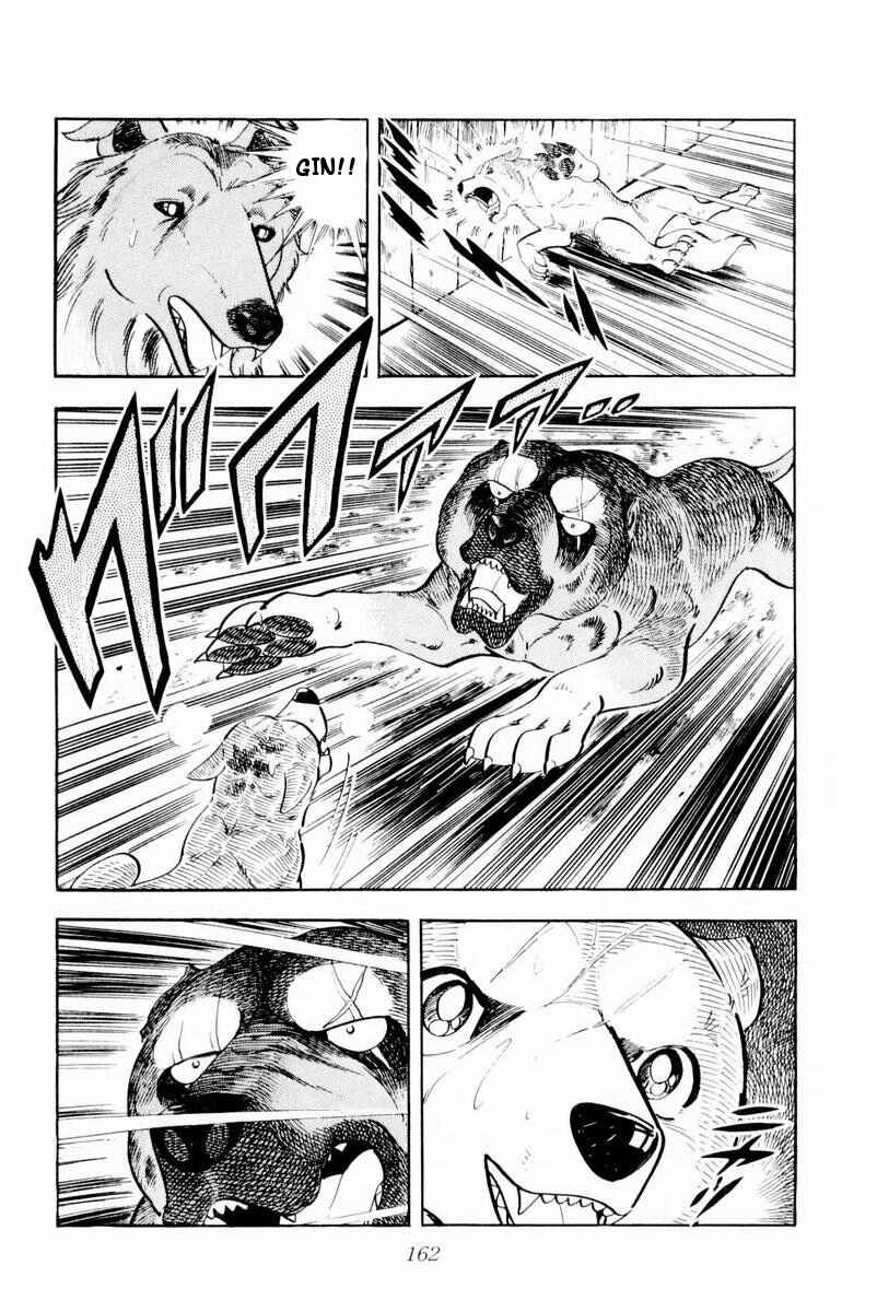 Page 38 Chapter 28 Silver Fang – The Shooting Star Gin –