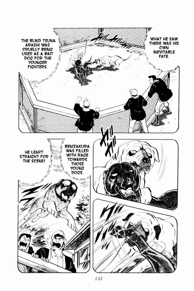 Page 9 Chapter 28 Silver Fang – The Shooting Star Gin –