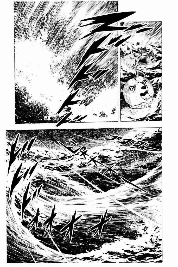 Page 22 Chapter 24 Silver Fang – The Shooting Star Gin –