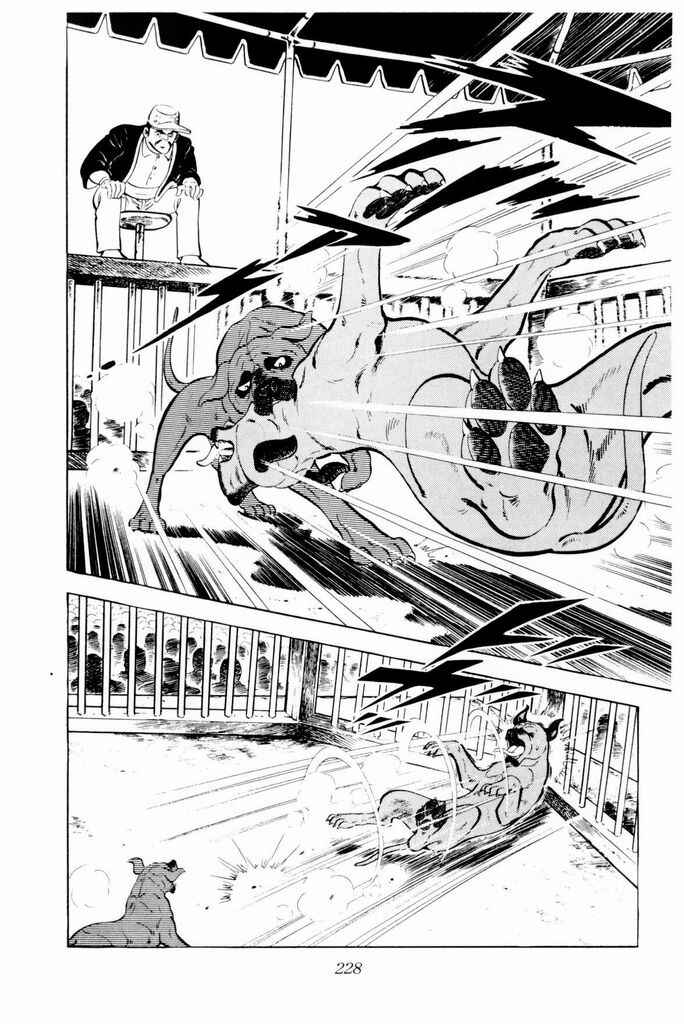 Page 25 Chapter 24 Silver Fang – The Shooting Star Gin –