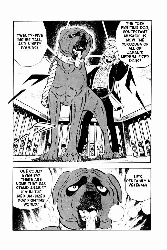 Page 28 Chapter 24 Silver Fang – The Shooting Star Gin –