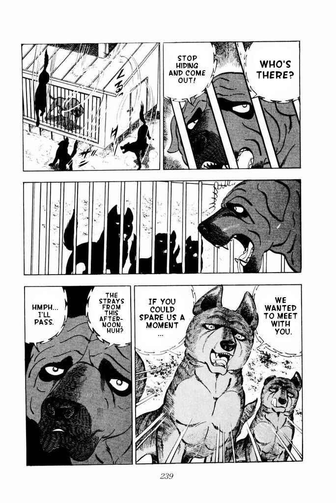 Page 36 Chapter 24 Silver Fang – The Shooting Star Gin –