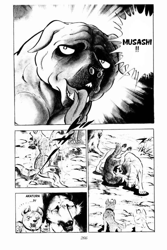 Page 63 Chapter 24 Silver Fang – The Shooting Star Gin –