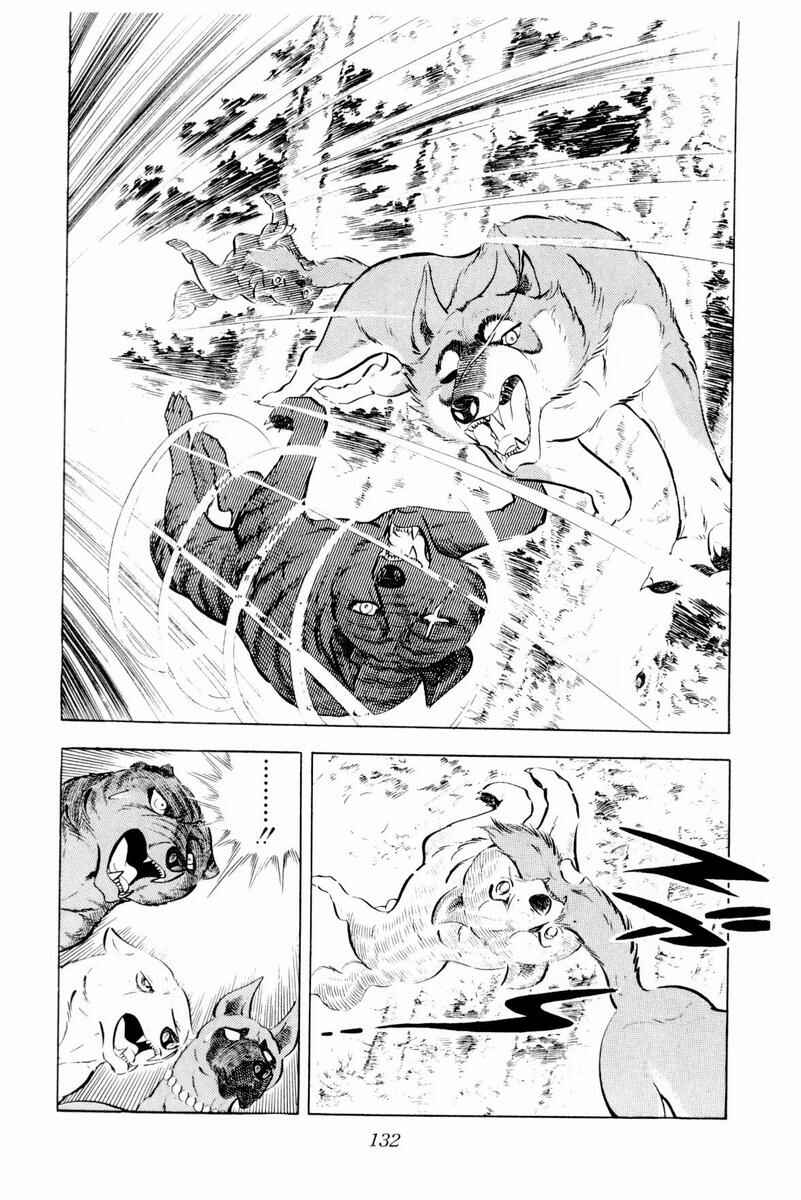 Page 20 Chapter 44 Silver Fang – The Shooting Star Gin –