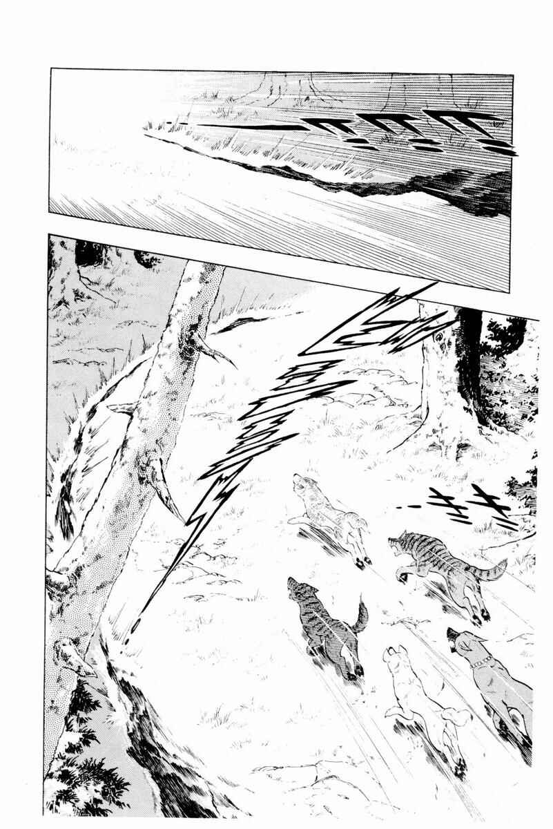 Page 32 Chapter 44 Silver Fang – The Shooting Star Gin –