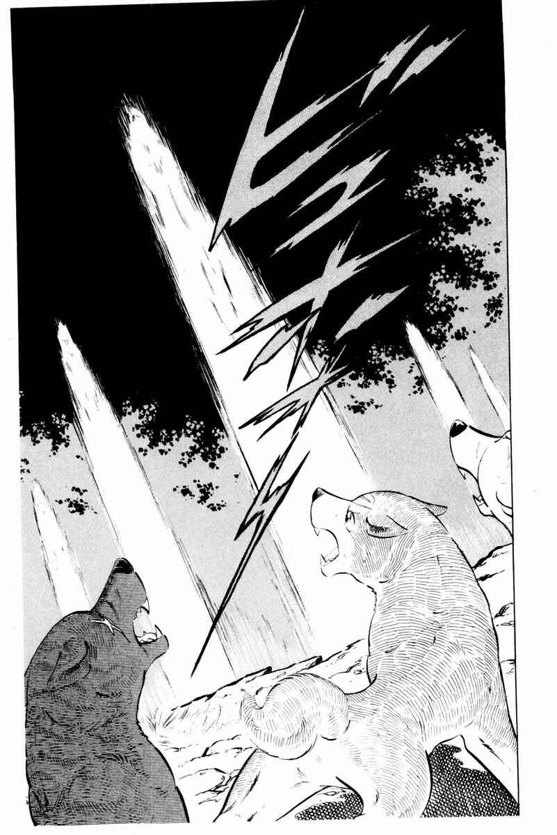 Page 35 Chapter 44 Silver Fang – The Shooting Star Gin –