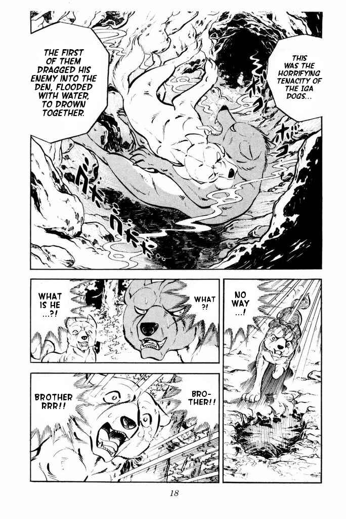 Page 17 Chapter 21 Silver Fang – The Shooting Star Gin –