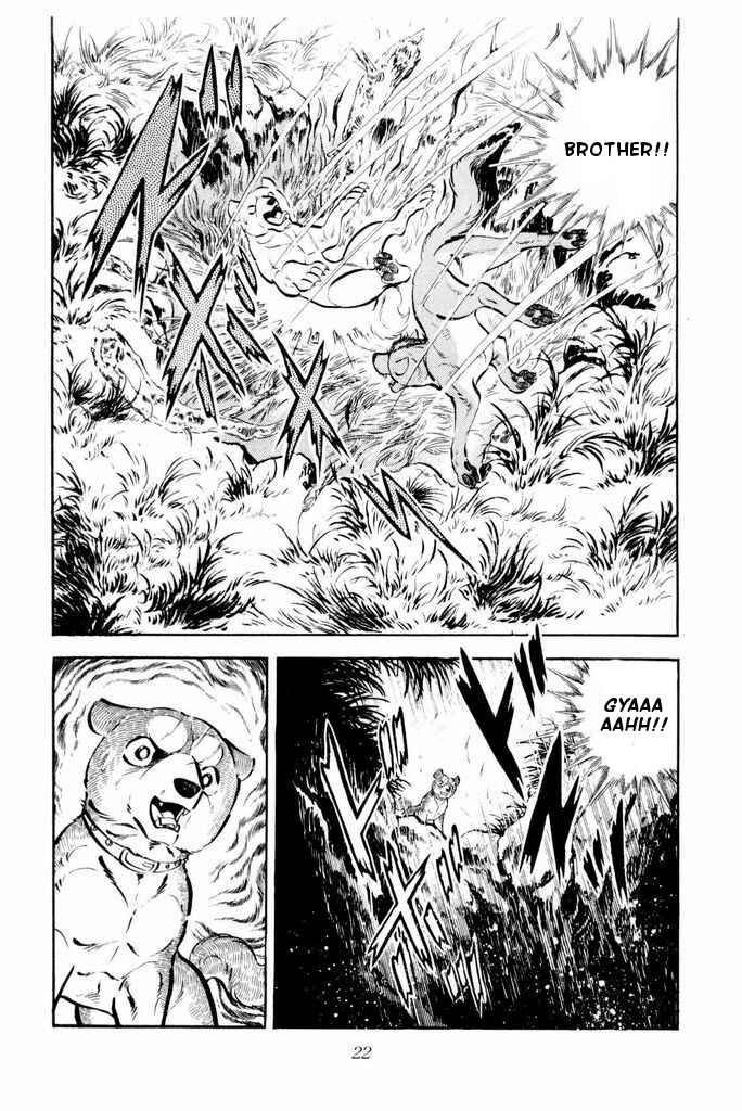 Page 21 Chapter 21 Silver Fang – The Shooting Star Gin –