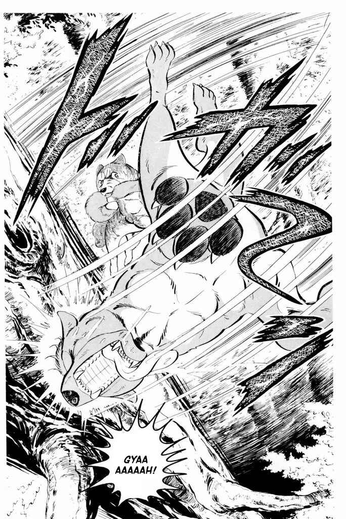 Page 27 Chapter 21 Silver Fang – The Shooting Star Gin –