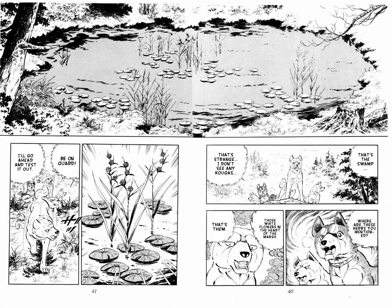 Page 39 Chapter 21 Silver Fang – The Shooting Star Gin –