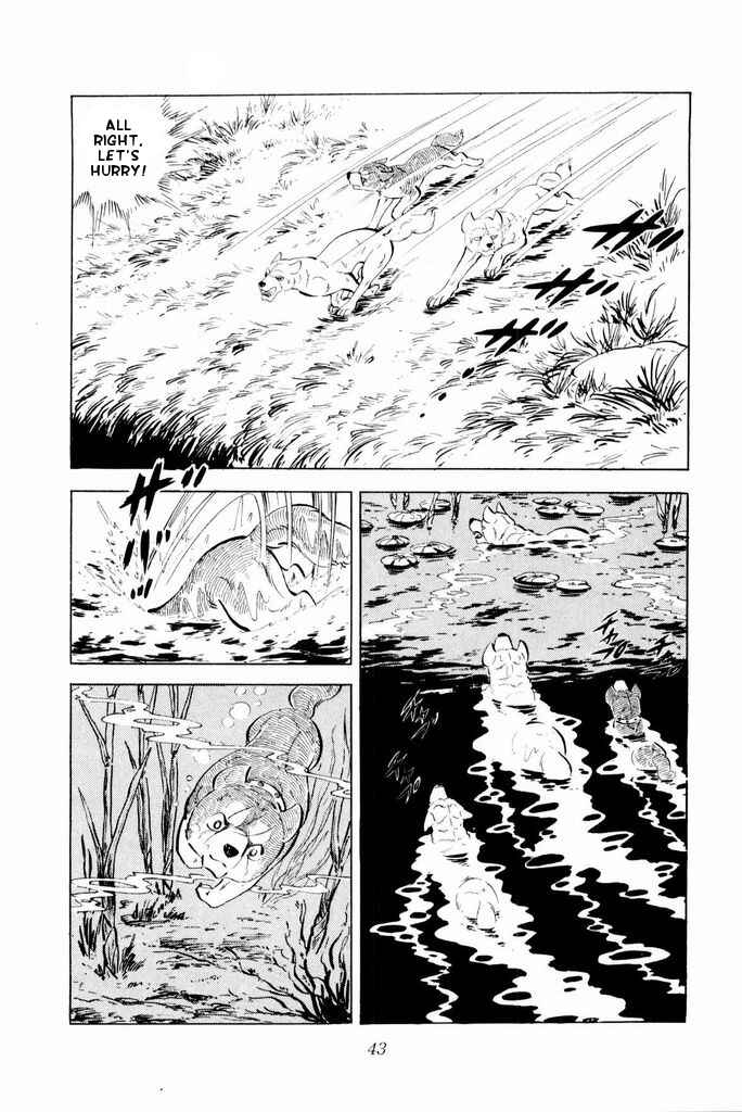 Page 41 Chapter 21 Silver Fang – The Shooting Star Gin –