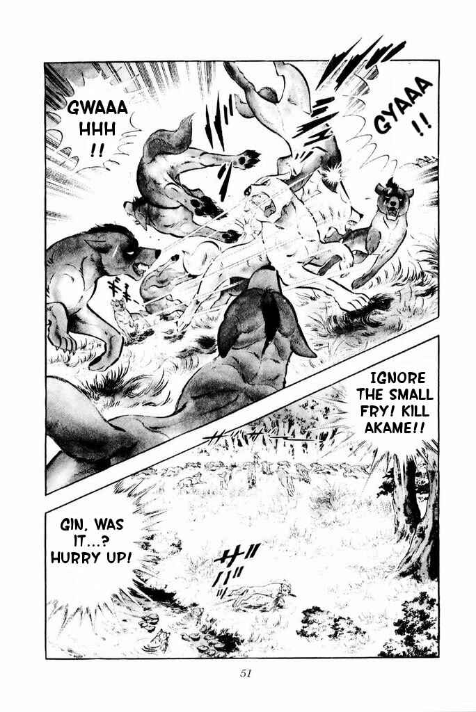 Page 47 Chapter 21 Silver Fang – The Shooting Star Gin –