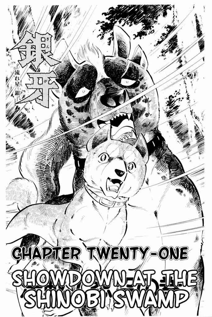 Page 5 Chapter 21 Silver Fang – The Shooting Star Gin –