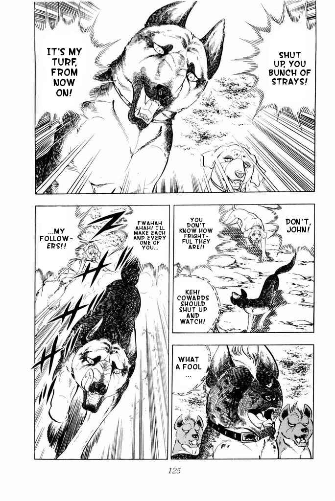 Page 20 Chapter 22 Silver Fang – The Shooting Star Gin –