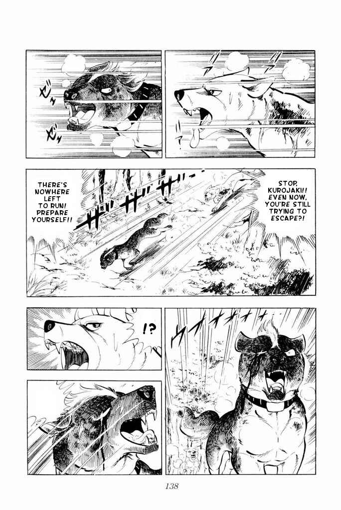 Page 31 Chapter 22 Silver Fang – The Shooting Star Gin –