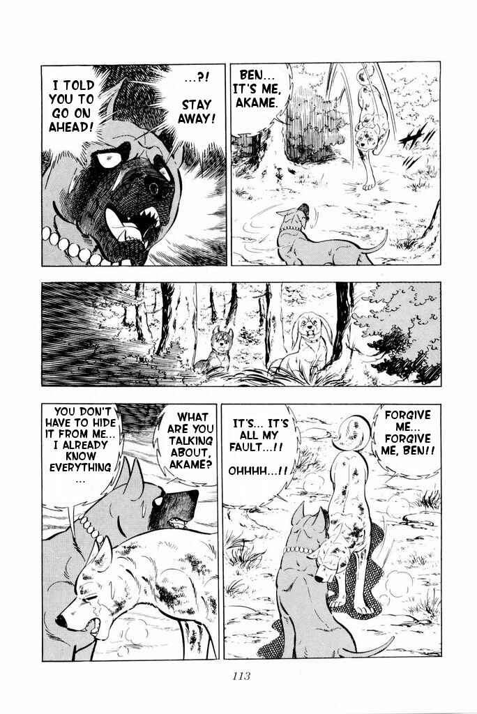 Page 9 Chapter 22 Silver Fang – The Shooting Star Gin –